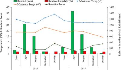 Achievement of higher biomass, yield and quality of essential oil of Tagetes minuta L. through optimizing the sowing method and seeding rate